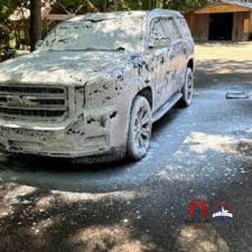 Lifted Truck & SUV Wash and Detailing