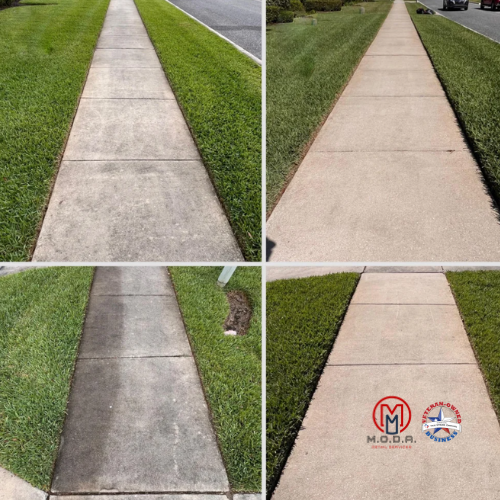Pressure Washing Services