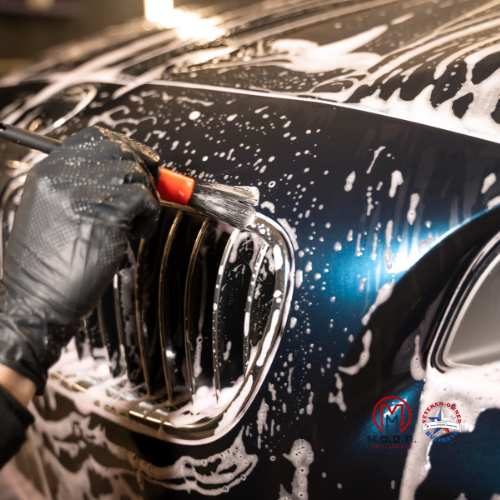 Monthly Detail Package*